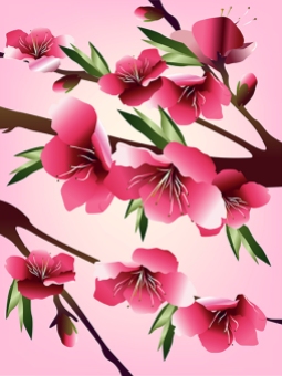 Vector cherry blossom