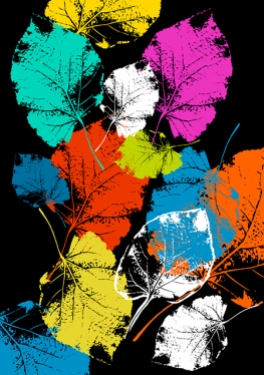 Vector Colorful Leaves